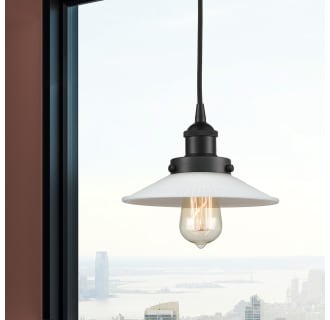 A thumbnail of the Innovations Lighting 616-1PH-6-9 Halophane Pendant Alternate Image