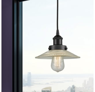 A thumbnail of the Innovations Lighting 616-1PH-6-9 Halophane Pendant Alternate Image