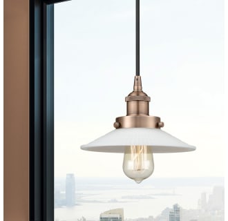 A thumbnail of the Innovations Lighting 616-1PH-6-9 Halophane Pendant Alternate Image