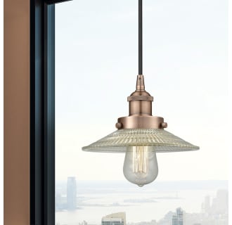 A thumbnail of the Innovations Lighting 616-1PH-6-9 Halophane Pendant Alternate Image