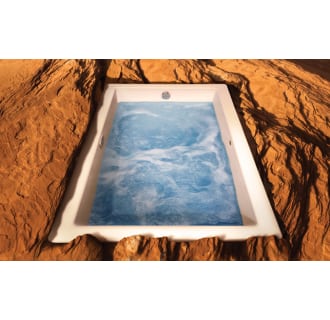 A thumbnail of the Jacuzzi ELA7242 CRL 5IW Alternate View