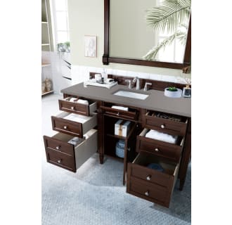 A thumbnail of the James Martin Vanities 650-V60S-3GEX Alternate Image