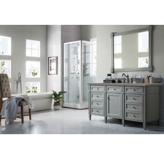 A thumbnail of the James Martin Vanities 650-V60S-3GEX Alternate Image