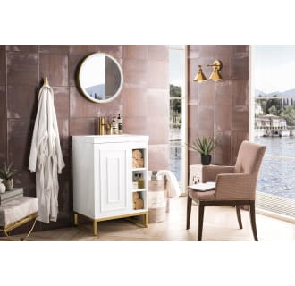 A thumbnail of the James Martin Vanities E110V24RGDWG Alternate Image