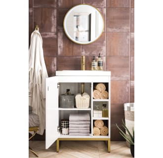 A thumbnail of the James Martin Vanities E110V24RGDWG Alternate Image