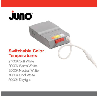 A thumbnail of the Juno Lighting WF6 SWW5 90CRI M6 Alternate Image