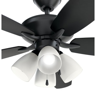 A thumbnail of the Kichler 330162 Kichler Renew Premier Ceiling Fan Light Kit