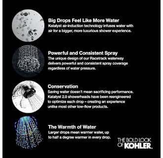 A thumbnail of the Kohler K-13696 Alternate Image