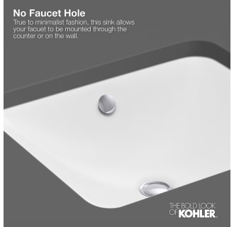 A thumbnail of the Kohler K-20000 Infographic