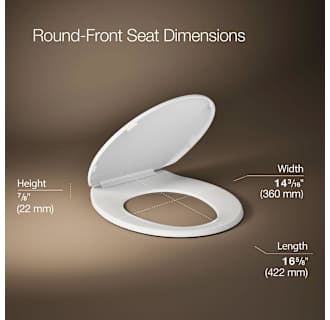 A thumbnail of the Kohler K-20111 Alternate Image