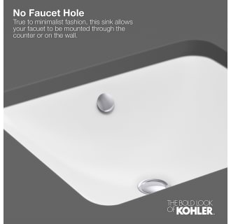 A thumbnail of the Kohler K-2210-N Infographic