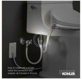 A thumbnail of the Kohler K-26132-CSP Alternate View