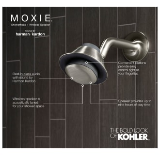 A thumbnail of the Kohler K-28238-NKE Alternate View