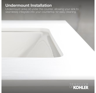 A thumbnail of the Kohler K-2890-4 Infographic