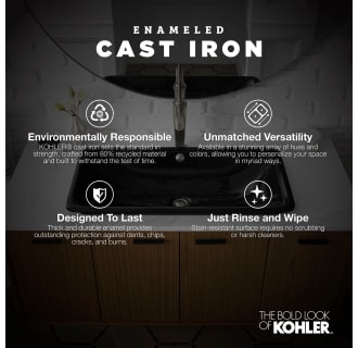 A thumbnail of the Kohler K-2895-1 Infographic