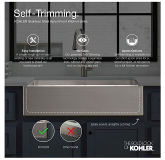 A thumbnail of the Kohler K-3936 Alternate Image