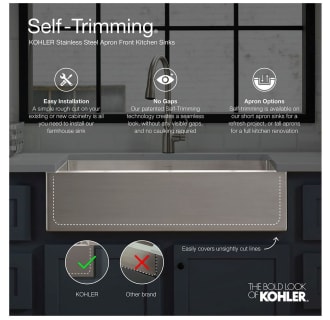 A thumbnail of the Kohler K-3936 Alternate View