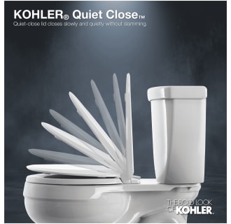 A thumbnail of the Kohler K-4008 Alternate Image