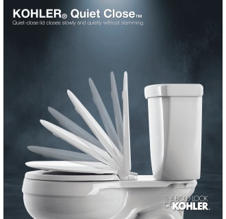A thumbnail of the Kohler K-4009 Alternate Image