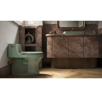 A thumbnail of the Kohler K-5172 Alternate Image