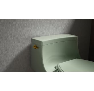 A thumbnail of the Kohler K-5172 Alternate Image