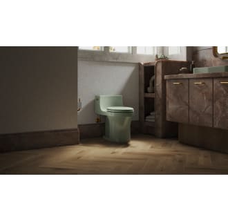 A thumbnail of the Kohler K-5172 Alternate Image