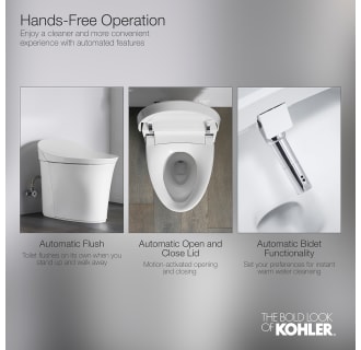 A thumbnail of the Kohler K-5402 Infographic