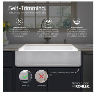 A thumbnail of the Kohler K-6487 Alternate View