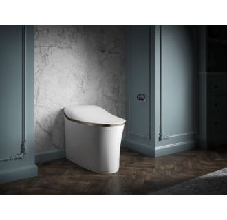 A thumbnail of the Kohler K-77795 Alternate Image