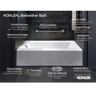 A thumbnail of the Kohler K-838 Alternate Image
