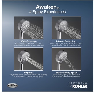 A thumbnail of the Kohler K-99243-Y Alternate Image