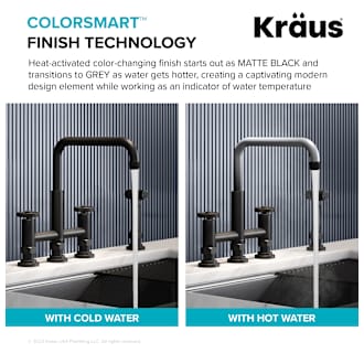 A thumbnail of the Kraus KPF-3125 Alternate Image