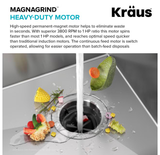 A thumbnail of the Kraus KWD200-100 Alternate Image