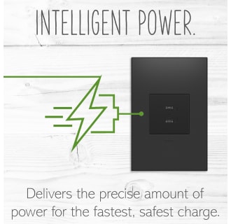 A thumbnail of the Legrand ARUSB30PD4 Alternate Image