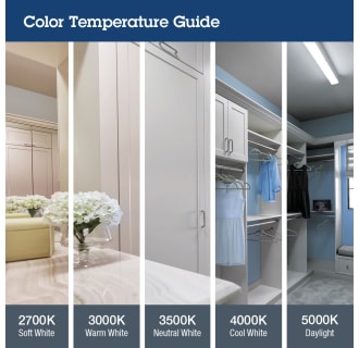 A thumbnail of the Lithonia Lighting CPX 2X4 4000LM M2 G2 Color Temperature Infographic
