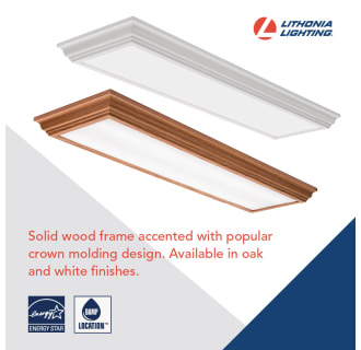 A thumbnail of the Lithonia Lighting FMFL 30840 CAML WH Infographic