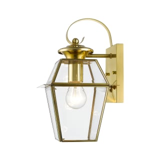 A thumbnail of the Livex Lighting 2181 Polished Brass Gallery Image 5