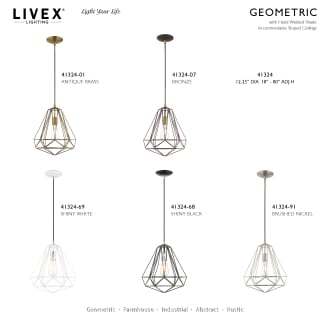 A thumbnail of the Livex Lighting 41324 Alternate Image