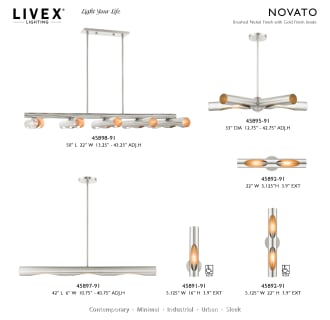 A thumbnail of the Livex Lighting 45897 Alternate Image