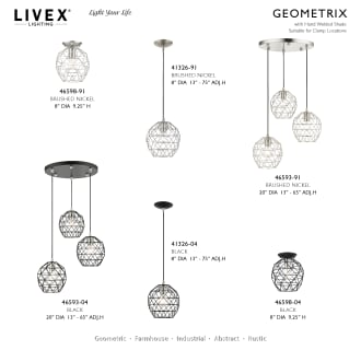 A thumbnail of the Livex Lighting 46598 Alternate Image