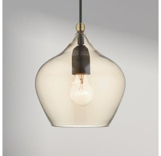 A thumbnail of the Livex Lighting 49089 Alternate Image