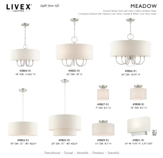 A thumbnail of the Livex Lighting 49803 Alternate Image