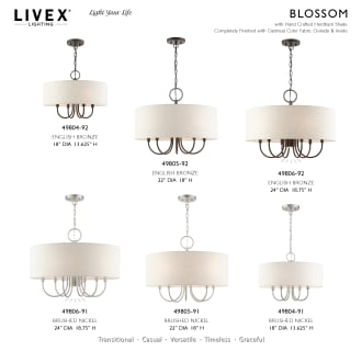 A thumbnail of the Livex Lighting 49806 Alternate Image
