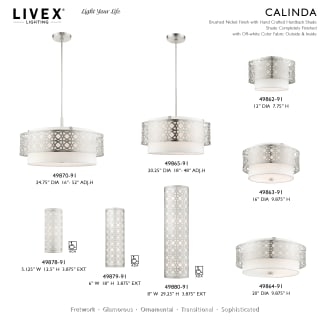 A thumbnail of the Livex Lighting 49870 Alternate Image