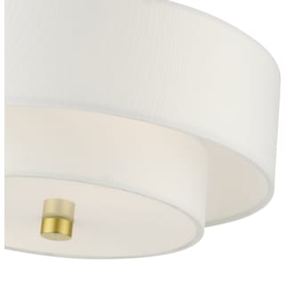 A thumbnail of the Livex Lighting 51042 Alternate View
