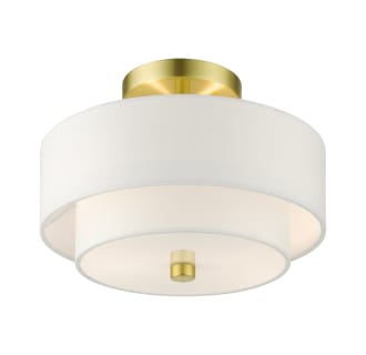 A thumbnail of the Livex Lighting 51043 Alternate View