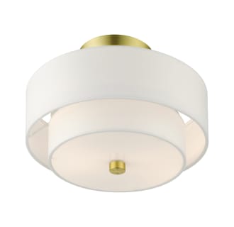 A thumbnail of the Livex Lighting 51043 Alternate View