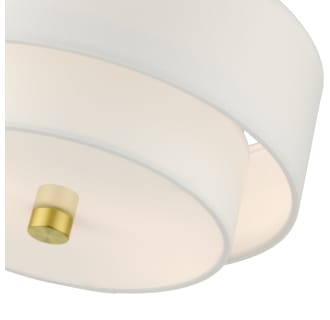A thumbnail of the Livex Lighting 51043 Alternate View