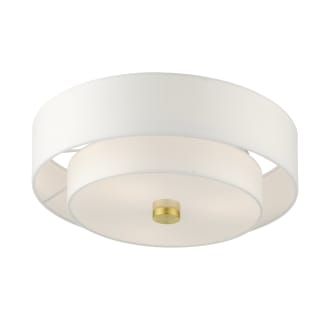 A thumbnail of the Livex Lighting 51044 Alternate View