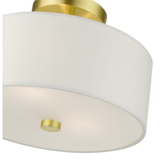 A thumbnail of the Livex Lighting 51052 Alternate View